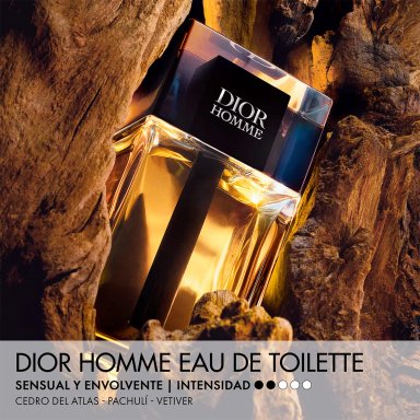 SET PERFUME DIOR HOMME EAU DE TOILETTE 100ML+10ML - 2
