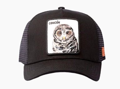 GORRO ALGODÓN ORGÁNICO WILD LAMA CONCON JOCKEY NEGRO