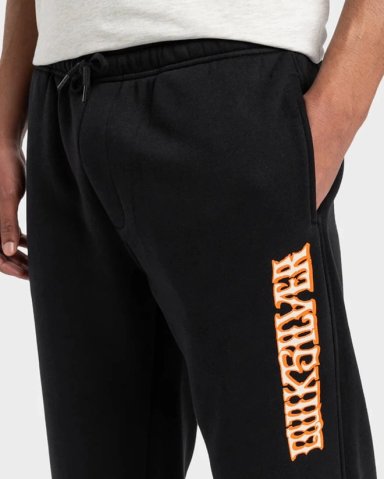 PANTALÓN BUZO HOMBRE QUIKSILVER  GRAPHIC PANT EQYFB03394PR - 4