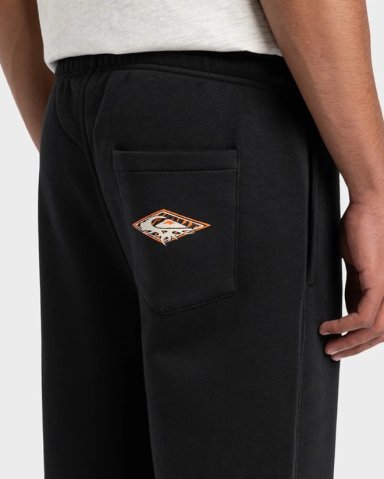 PANTALÓN BUZO HOMBRE QUIKSILVER  GRAPHIC PANT EQYFB03394PR - 5