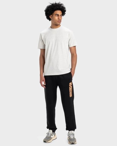 PANTALÓN BUZO HOMBRE QUIKSILVER  GRAPHIC PANT EQYFB03394PR - 6