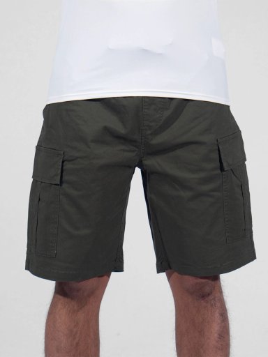 SHORT HOMBRE QUIKSILVER ESSENTIAL TAXER BERMUDA 21
