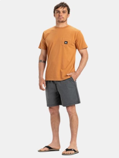 SHORT HOMBRE QUIKSILVER TAXER - 5