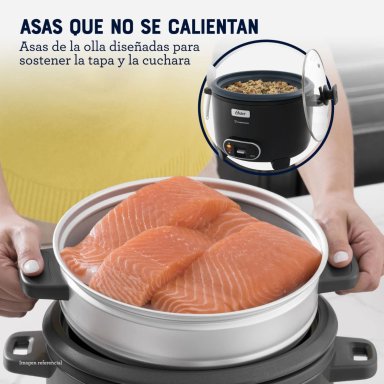 ARROCERA OSTER 2.8 LITROS CKSTRC15DFSKE - 5