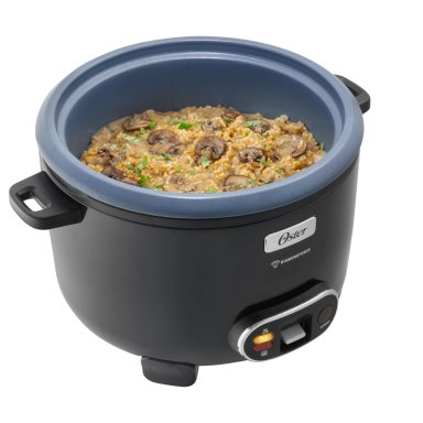 ARROCERA OSTER 2.8 LITROS CKSTRC15DFSKE - 10