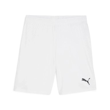SHORT HOMBRE PUMA TEAMGOAL SHORT