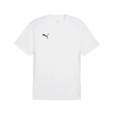 POLERA HOMBRE PUMA TEAMGOAL JERSEY