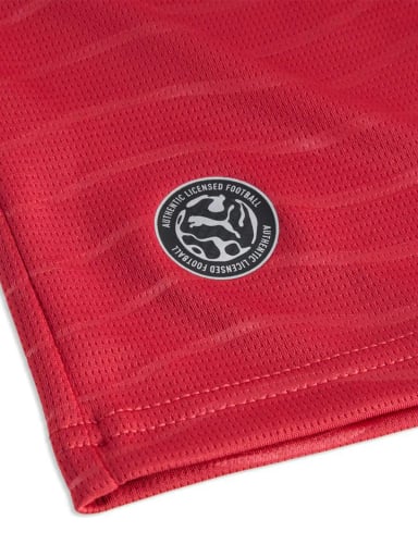CAMISETA MANGA LARGA HOMBRE PUMA SELECCIÓN PORTUGAL LOCAL ROJO - 6