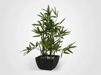 PLANTA RIPLEY HOME BAMBU 20X46CM