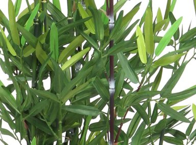 PLANTA RIPLEY HOME BAMBU 20X46CM - 2