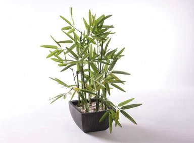 PLANTA RIPLEY HOME BAMBU 122 CM