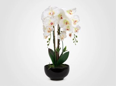 PLANTA RIPLEY HOME ORQUIDEA BLANCA CON MACETA NEGRA