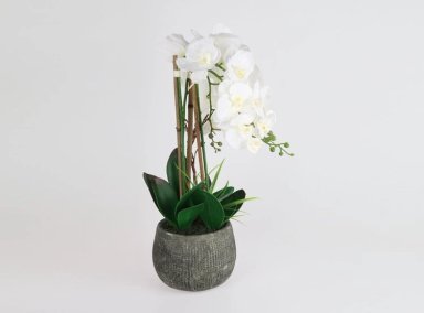 PLANTA RIPLEY HOME ORQUIDEA BLANCA CON MACETA CONCRETO