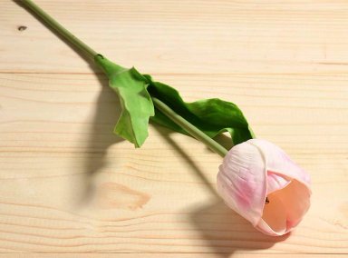 PLANTA RIPLEY HOME TULIPÁN FLOR TULIPAN ROSA CHICO