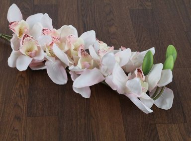 PLANTA RIPLEY HOME GLADIOLO FLOR ROSA