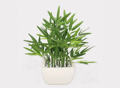 PLANTA RIPLEY HOME BAMBU CON MACETA BLANCA 36X36X35 CM