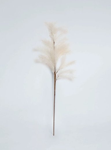 PLANTA RIPLEY HOME IVORY RAMO PELOS