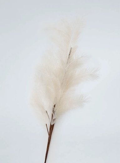 PLANTA RIPLEY HOME IVORY RAMO PELOS - 2