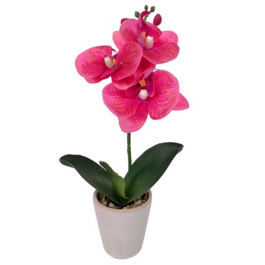 PLANTA RIPLEY HOME MULTICOLOR ORQUIDEA MINI 30CM