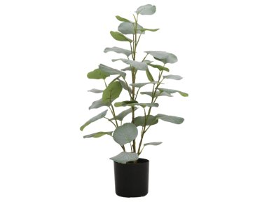 PLANTA HOJA REDONDA 66CM