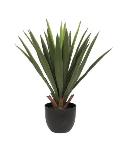 PLANTA HOJA LARGA 68CM