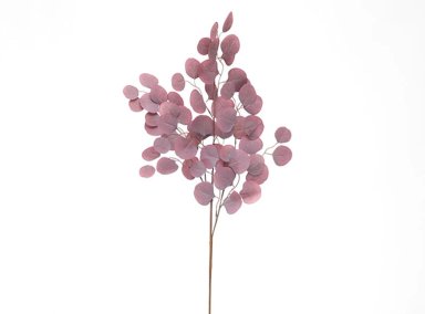 PLANTA RIPLEY HOME EUCALIPTO LILA