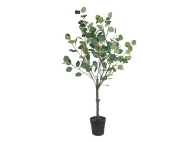 PLANTA RIPLEY HOME EUCALIPTO VERDE CLARO