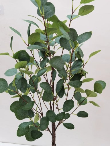 PLANTA RIPLEY HOME EUCALIPTO VERDE CLARO - 2