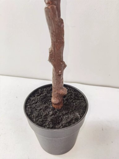 PLANTA RIPLEY HOME EUCALIPTO VERDE CLARO - 3