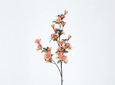 PLANTA RIPLEY HOME AZALEA DURAZNO