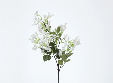 PLANTA RIPLEY HOME ANEMONA BLANCO