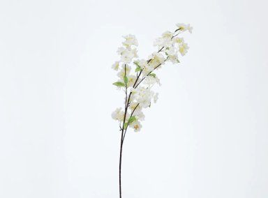 PLANTA RIPLEY HOME CEREZO BLANCO