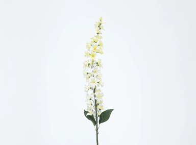 PLANTA RIPLEY HOME LILA BLANCO