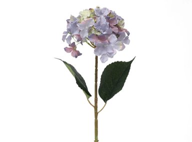 PLANTA RIPLEY HOME HORTENSIA LILA