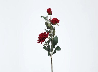 PLANTA RIPLEY HOME ROSA ROJO