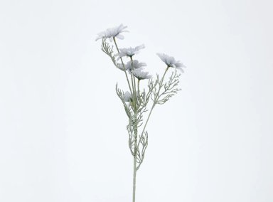 PLANTA RIPLEY HOME MARGARITA AZUL