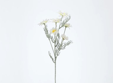 PLANTA RIPLEY HOME MARGARITA BLANCO