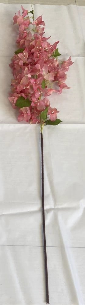 PLANTA RIPLEY HOME BUGANVILIAS DURAZNO