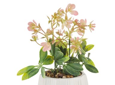 PLANTA RIPLEY HOME FLOR CON MACETA VERDE 25 CM - 2