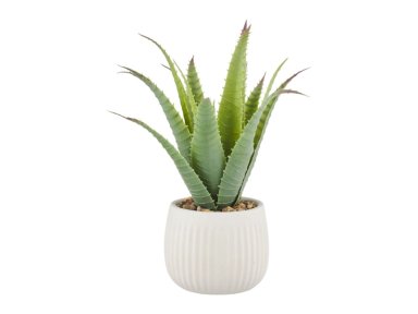 PLANTA RIPLEY HOME ALOE CON MACETA 30 CM