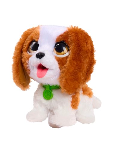 FURREAL POOP A LOTS REY CRLOS SPANIEL - 4
