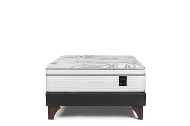 CAMA EUROPEA ROSEN ART 4 2 PLAZAS + 2 ALMOHADAS MEMORY MAX - 2