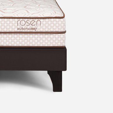 CAMA EUROPEA ROSEN AUTONOMY LAND 1 PLAZA - 3
