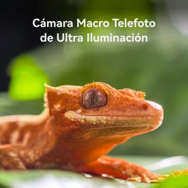 CELULAR HUAWEI PURA 80 PRO 512GB - 8