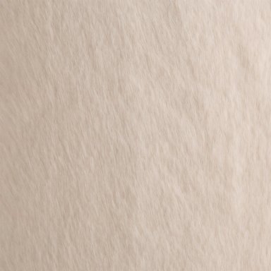 COJIN PELUDO 35X50 IVORY - 2