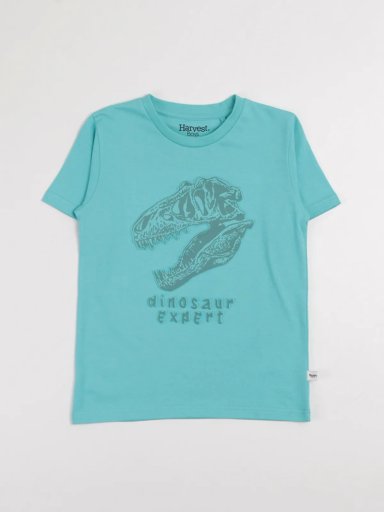 POLO MANGA CORTA ALGODÓN NIÑO HARVEST PREHISTORIC MONSTER
