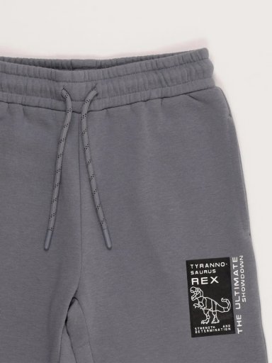 PANTALÓN DE BUZO NIÑO HARVEST - 3