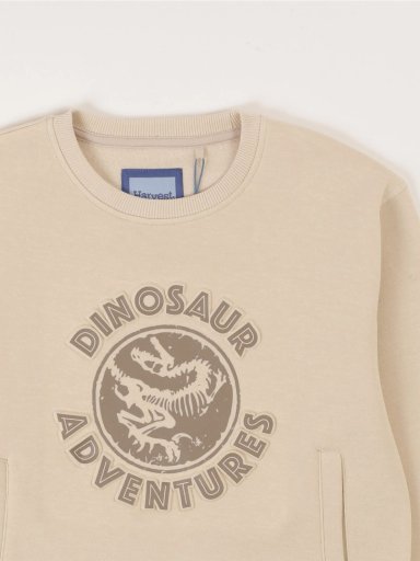 POLERA DINO CON CANGURO NIÑO HARVEST - 3