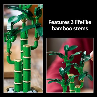 LEGO FLORES 10344 BOTANICALS SET DE CONSTRUCCIÓN DE BAMBU DE LA SUERTE 325 PZS - 4