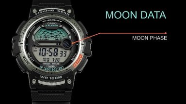 RELOJ CASIO HOMBRE DEPORTIVO WS-1200H-1AVCF PRO TREK CORREA NEGRO CUARZO RESINA - 2